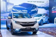Honda CR V L 2018 - Bán CR-V nhập khẩu 2018 tại Đắk Lắk - liên hệ 0918424647 giá 1 tỷ 73 tr tại Đắk Lắk