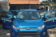 Ford EcoSport Cũ 2017 - Xe Cũ Ford EcoSport 2017 giá 580 triệu tại Cả nước