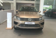 Volkswagen Touareg 2017 - Bán xe Volkswagen Touareg năm sản xuất 2017, tiết kiệm được 700 triệu khi mua Touareg tại đây giá 2 tỷ 149 tr tại Tp.HCM