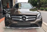 Mercedes-Benz GL Cũ Mercedes-Benz C 300 2017 - Xe Cũ Mercedes-Benz GLC 300 2017 giá 2 tỷ 169 tr tại Cả nước