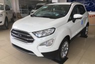 Ford EcoSport 1.0 Ecoboost  2018 - Hãng xe Ford tại Lào Cai bán Ford EcoSport 1.0 Ecoboost đời 2018, màu trắng, giao ngay LH: 0941.921.742 giá 680 triệu tại Lào Cai