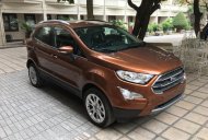 Ford EcoSport 1.5L AT Ambiente 2018 - Bán Ecosport 2018 chỉ từ 150tr sở hữu xe 0946974404 giá 569 triệu tại Nam Định