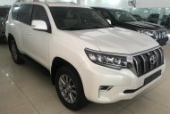 Toyota Prado 2.7 VX 2017 - Bán ô tô Toyota Prado VX mới 100% màu trắng, giá tốt nhập khẩu giá 2 tỷ 262 tr tại Hà Nội