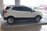 Ford EcoSport 2018 - Cần bán lại xe Ford EcoSport 2018, màu trắng  giá 593 triệu tại Sóc Trăng
