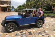 Jeep Wrangler   1980 - Cần bán lại xe Jeep Wrangler đời 1980, màu xanh lam giá cạnh tranh giá 150 triệu tại Bình Thuận  