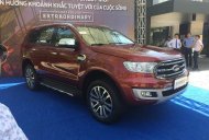 Ford Everest   2018 - Bán Ford Everest năm sản xuất 2018, nhập khẩu nguyên chiếc giá 850 triệu tại Gia Lai