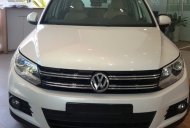 Volkswagen Tiguan 2016 - Volkswagen - Tiguan 2016 màu trắng nhập khẩu, chỉ 1tỷ 290tr, trả trước 258 triệu giá 1 tỷ 290 tr tại Khánh Hòa