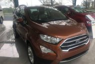 Ford EcoSport 1.5 Titanium 2018 - Bán Ford EcoSport 1.5 Titanium sản xuất 2018 giá cạnh tranh giá 648 triệu tại Lâm Đồng