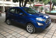 Ford EcoSport 2018 - Bán Ecosport 2018 màu xanh, chạy 8000km, cực chất giá 530 triệu tại Hưng Yên