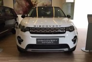 LandRover Discovery  Sport HSE   2017 - Bán ô tô LandRover Discovery Sport HSE sản xuất năm 2017, màu trắng, nhập khẩu nguyên chiếc số tự động giá 2 tỷ 500 tr tại Tp.HCM