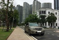 Mercedes-Benz GLK Class 300 2010 - Bán xe Mercedes GLK300 đời 2010, màu kem giá 680 triệu tại Tp.HCM