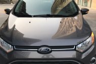 Ford EcoSport Cũ   TITANIUM 2015 - Xe Cũ Ford EcoSport TITANIUM 2015 giá 545 triệu tại Cả nước