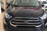 Ford EcoSport 2018 - Bán Ecosport 2018 5 chỗ gầm cao, giá chỉ 545 triệu giá 545 triệu tại Gia Lai