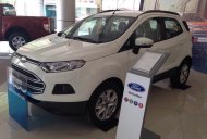 Ford Ranger 2018 - Ford Hòa Bình bán xe Ford Ecosport 2018 màu trắng giá 545 triệu tại Hòa Bình
