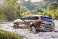 Ford Everest 2.2 AT trend 2018 - Tuyên Quang Ford cần bán xe Ford Everest 2.2 AT Trend sản xuất 2018, giá tốt. LH 0974286009 giá 900 triệu tại Tuyên Quang