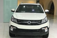 Ssangyong Korando 2017 - Bán xe Ssangyong Korando sản xuất năm 2017, màu trắng, nhập khẩu giá 989 triệu tại Tp.HCM