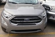 Ford EcoSport 2018 - Ford Thái Bình bán xe Ford Ecosport 2018 màu bạc giá 648 triệu tại Thái Bình