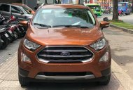 Ford EcoSport 2018 - Bán Ecosport 2018 giá rẻ nhiều ưu đãi tại Gia Lai 545 triệu giá 545 triệu tại Gia Lai