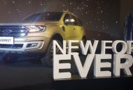 Ford Everest  Titanium 2.0 AT (4WD) 2018 - Hot Ford Everest model 2019, đủ màu chỉ với từ 200 triệu đồng, hỗ trợ trả góp lên tới 90% giá trị xe - LH 0967664648 giá 900 triệu tại Hà Nội