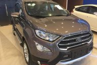 Ford EcoSport  1.5L AT Titanium 2018 - Bán Ford EcoSport sản xuất 2018, màu nâu, giá tốt  giá 648 triệu tại Tây Ninh