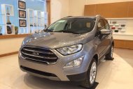 Ford EcoSport 1.5 titanium 2018 - Tặng phụ kiện giảm tiền mặt khi mua Ford Ecosport 1.5l Titanium, màu xám 2018 tại An Đô Ford, lh 0974286009 giá 610 triệu tại Tuyên Quang
