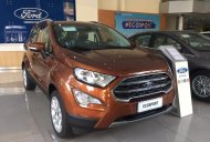 Ford EcoSport 1.5L AT Ambiente 2018 - Bán Ford Ecosport Titanium tại Lạng Sơn giao ngay, đủ màu, giảm cực mạnh, hỗ trợ 80%, 8 năm - LH: 0942552831 giá 569 triệu tại Lạng Sơn