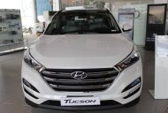 Hyundai Tucson 2018 - Bán ô tô Hyundai Tucson năm sản xuất 2018, màu trắng  giá 920 triệu tại Kiên Giang