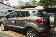 Ford EcoSport Titanium 2018 - Bán Ecosport 2018 Titanium, màu xám ghi, hỗ trợ trả góp tại Cao Bằng LH: 0941921742 giá 605 triệu tại Cao Bằng