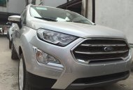 Ford EcoSport Titanium  2018 - Bán Ecosport bản 1.0 Ecoboost, giá tốt, giao ngay tại Cao Bằng hỗ trợ trả góp lãi xuất thấp LH: 0941921742 giá 675 triệu tại Cao Bằng