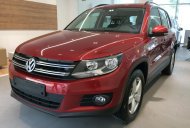 Volkswagen Tiguan 2018 - Bán Volkswagen Tiguan sản xuất 2018, màu đỏ, nhập khẩu nguyên chiếc giá 1 tỷ 699 tr tại Ninh Thuận