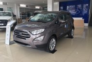 Ford EcoSport Titanium 1.0 2018 - Bán Ecosport 2018 bản Titanium 1.0 màu xám, giá cực tốt cho khách hàng vui lòng liên hệ 0941921742 giá 675 triệu tại Bắc Giang