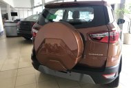 Ford EcoSport Titanium 2018 - Bán Ford EcoSport giá siêu tốt, chỉ 138 triệu có xe mới 100% đi ngay giá 689 triệu tại BR-Vũng Tàu