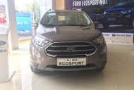 Ford EcoSport Titanium 2018 - Khuyến mại lên tới 40 triệu, Ford EcoSport Titanium sản xuất năm 2018, màu xám (ghi) giá 580 triệu tại Hưng Yên