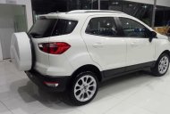 Ford EcoSport Trend 2018 - Tây Ninh bán Ford Ecosport bản Trend 2018 giá thấp nhất LH 0898.482.248 giá 583 triệu tại Tây Ninh