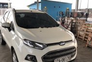 Ford EcoSport Titanium 2016 - Cần bán lại xe Ford EcoSport đời 2016, màu trắng chính chủ, giá tốt giá 560 triệu tại Thái Bình