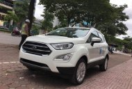 Ford EcoSport 2018 - Cần bán lại xe Ford EcoSport 1.5L Titanium 2019, màu trắng, giá tốt giá 595 triệu tại Bắc Ninh