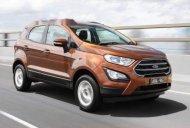 Ford EcoSport   2018 - Bán xe Ford EcoSport sản xuất 2018, màu nâu, giá chỉ 545 triệu giá 545 triệu tại BR-Vũng Tàu