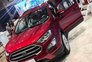 Ford EcoSport Titanium 1.5L 2018 - Chỉ với 200tr đồng có thể sử dụng chiếc xe nhỏ gọn về nhà -LH 0969 399 543 giá 625 triệu tại Tây Ninh