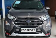 Ford EcoSport Titanium 1.0 Ecoboost 2018 - Bán Ford EcoSport Titanium 1.0 Ecoboost sản xuất 2018, màu nâu, giá 669tr giá 669 triệu tại Tây Ninh