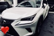 Lexus NX 300 2018 - Bán Lexu Nx300 năm 2017, siêu lướt mới đi 10.000km sản xuất 2018 màu trắng, nhập khẩu nguyên chiếc, bao kiểm tra hãng giá 2 tỷ 550 tr tại Tp.HCM