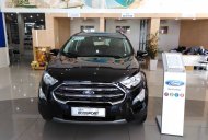Ford EcoSport Titanium 1.0L  2018 - Cần bán xe Ford Titanium 1.0L 2018 giá 689 triệu tại Khánh Hòa