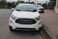 Ford EcoSport Titanium 2018 - Bán Ford EcoSport Titanium đời 2018, giá sập sàn... 0968.912.236 giá 625 triệu tại Lai Châu