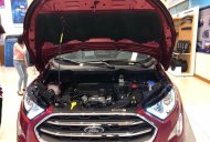 Ford EcoSport Titanium 2018 - Bán xe Ford EcoSport Titanium. Giảm tiền mặt hàng chục triệu đồng 0968.912.236 giá 625 triệu tại Ninh Bình