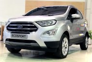 Ford EcoSport Titanium 1.5L  2018 - Xe Ecosport Titanium 1.5L mạnh mẽ, gầm cao, giá tốt nhất miền Tây giá 610 triệu tại Tiền Giang