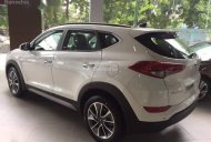 Hyundai Tucson 2018 - Bán xe Hyundai Tucson năm sản xuất 2018, màu trắng giá 780 triệu tại BR-Vũng Tàu