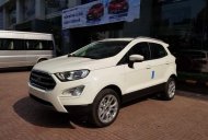 Ford EcoSport 2018 - Bán ô tô Ford EcoSport năm 2018, màu trắng, 545tr giá 545 triệu tại Quảng Nam