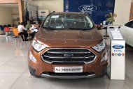 Ford EcoSport 1.0L AT Titanium 2018 - Bán Ford Ecosport Titanium tại Ninh Bình giao ngay, đủ màu, giảm cực mạnh, hỗ trợ 80%, 8 năm - LH: 033.613.5555 giá 610 triệu tại Ninh Bình
