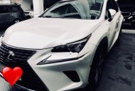 Lexus NX 300 2017 - Cần bán xe Lexus NX 300 đời 2017, màu trắng, nhập khẩu nguyên chiếc   giá 2 tỷ 550 tr tại Tp.HCM