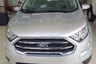 Ford EcoSport 1.0AT  2018 - Bán xe Ford EcoSport đời 2018, Ecoboost 1.0AT màu xám (ghi), KM chỉ 677 triệu, tặng gói phụ kiện tháng 11 giá 677 triệu tại Hà Giang