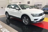 Volkswagen Tiguan   2017 - Bán ô tô Volkswagen Tiguan All Space sản xuất năm 2017, màu trắng, nhập khẩu, có xe giao ngay, khuyễn mãi khủng tháng 11 giá 1 tỷ 729 tr tại Đắk Lắk
